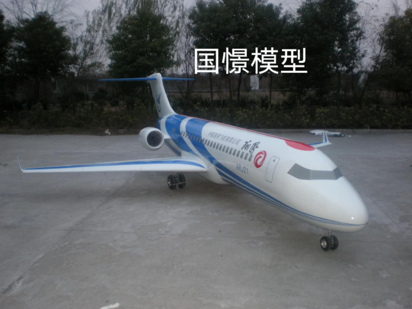措美县飞机模型
